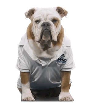 Jake from Ja-Roy Pest Control - Covington, LA
