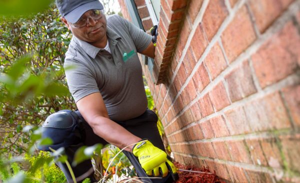 Home Lawn Services and inspection in Covington, LA; Ja-Roy Pest Control