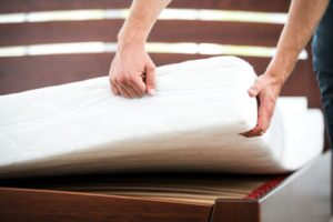Signs & Symptoms Of Bed Bugs in your area