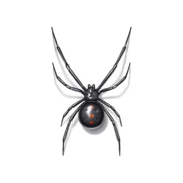 black widow spider identification in Covington, LA - Ja-Roy Pest Control