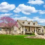 Louisiana house before wildlife exclusion services