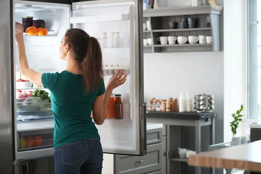 Throwing out food from the fridge after discovering a bed bug infestation is unnecessary