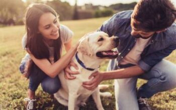 Couple with a Labrador retriever | Tick prevention and removal | Ja-Roy