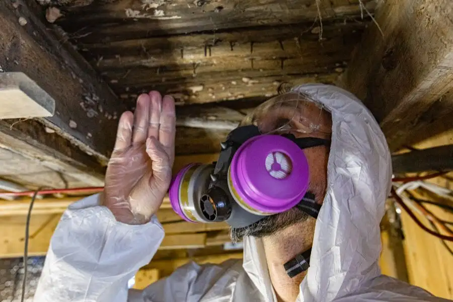 A professional inspector wearing a white protective hazmat suit and a purple-filtered respirator uses a flashlight to examine wooden floor joists in a dark basement or crawlspace.