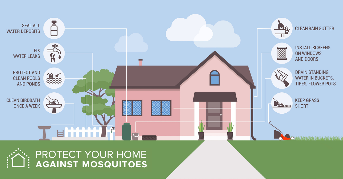 How to protect your home from mosquitoes