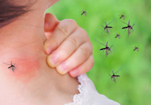 Mosquito Bite Prevention and Treatment in your area