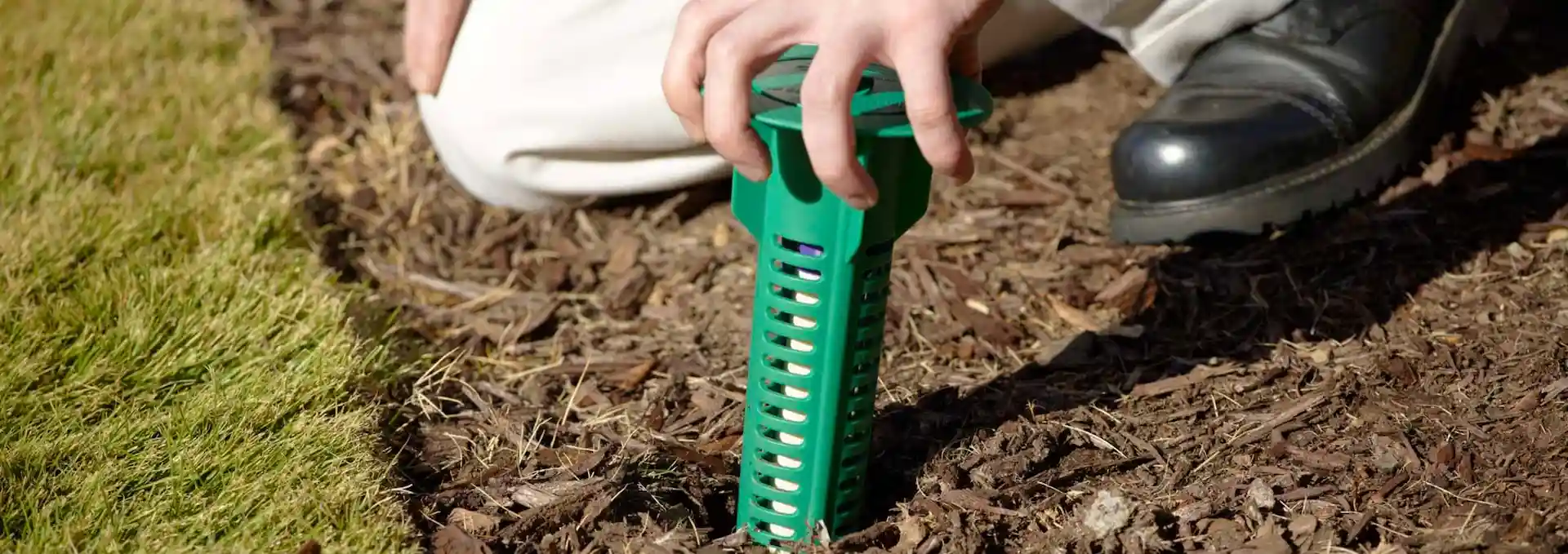 A professional technician installing a green Sentricon-style termite bait station into mulch along a lawn's edge.