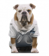 jakeweb Jake from Ja-Roy Pest Control - Covington, LA