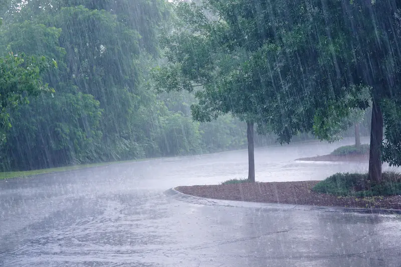 A Louisiana street covered in rain as a hurricane passes through,