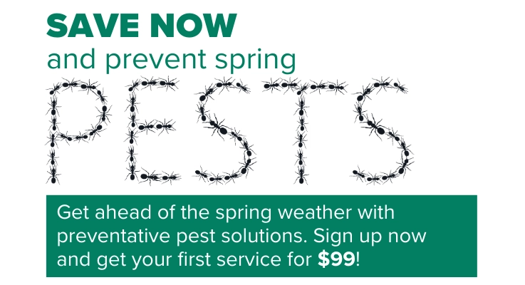 Offer for $99 off first service this spring for Bug Out pest control.