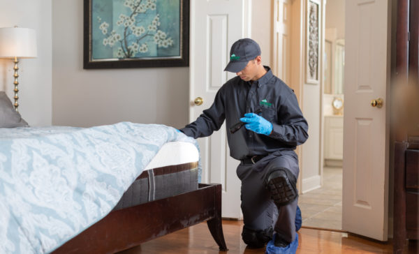 Bed Bug Inspections in Covington, LA; Ja-Roy Pest Control