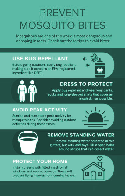 Prevent Mosquito Bites