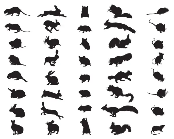 Silhouettes of various rodents on a white background - Keep pests away from your home with Ja-Roy Pest Control in Louisiana