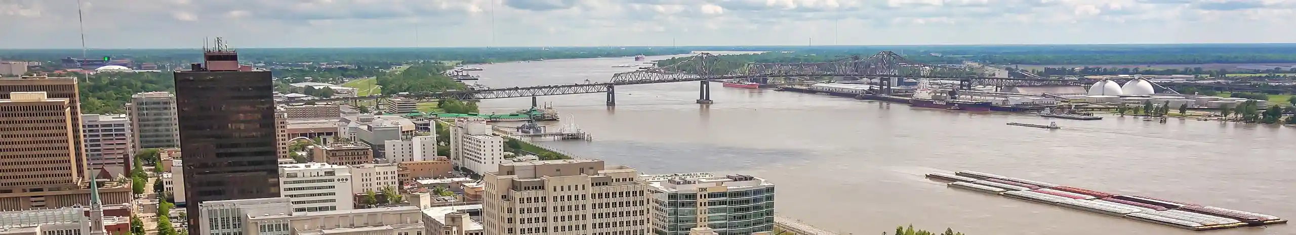 Aerial view of a city and bridge. Ja-Roy provides residential and commercial pest control and extermination services.