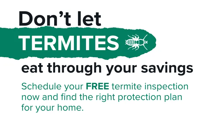 Don't let termites eat through your savings. Schedule your FREE termite inspection now and find the right protection plan for your home.